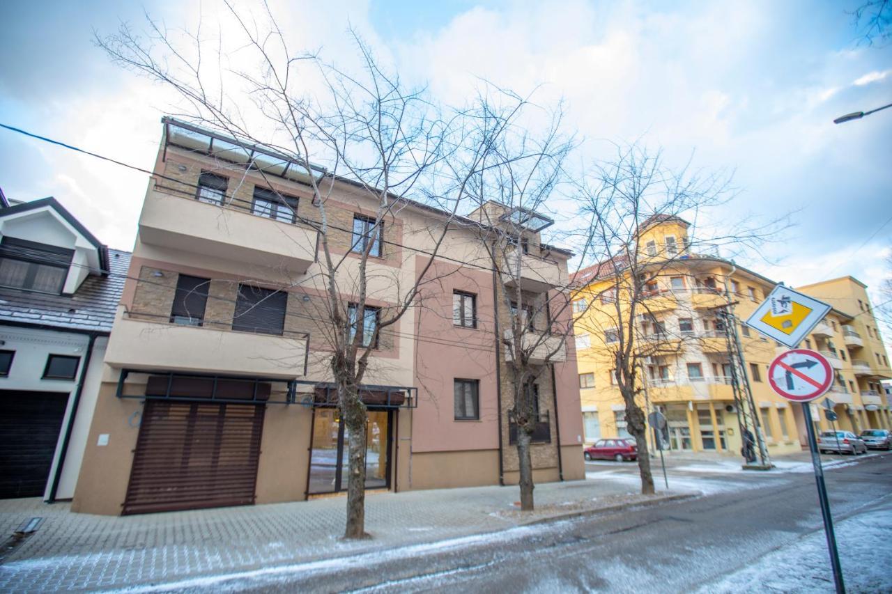 As Apartman 2 Vrsac Bagian luar foto