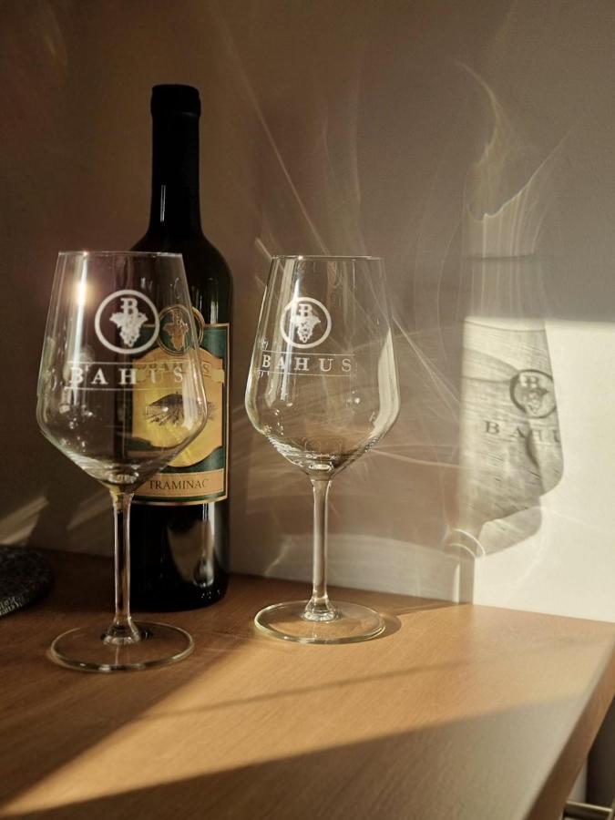 As Apartman 2 Vrsac Bagian luar foto