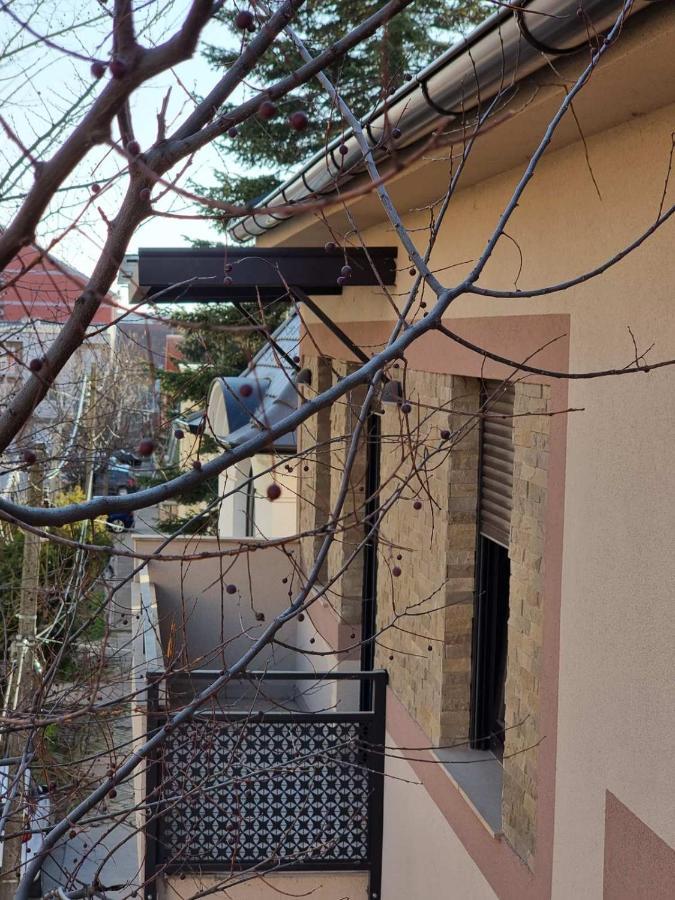 As Apartman 2 Vrsac Bagian luar foto